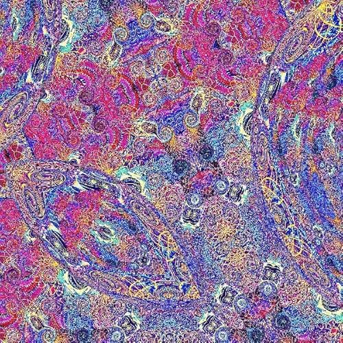Placenta (Exclusive Purple Vinyl)
