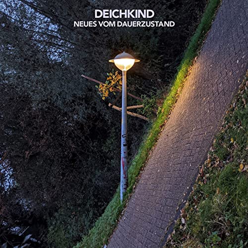 Neues Vom Dauerzustand (2Lp)
