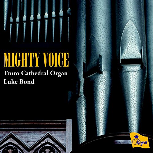 Mighty Voice