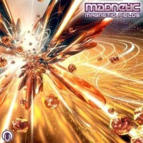 Magnetic Fields