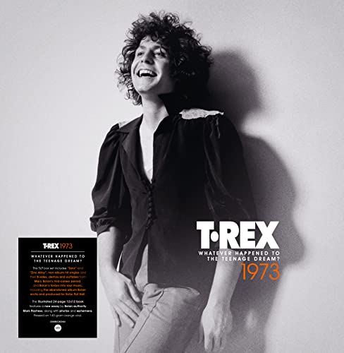 Whatever Happened To The Teenage Dream? (1973) (140G Orange Vinyl)