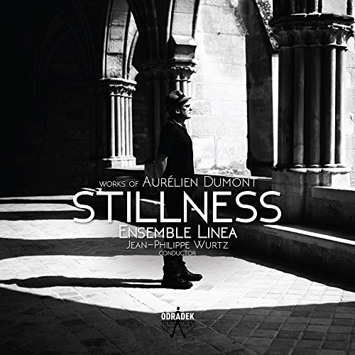 Stillness: Works By Aurelien Dumont