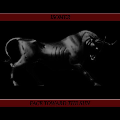 Face Toward The Sun