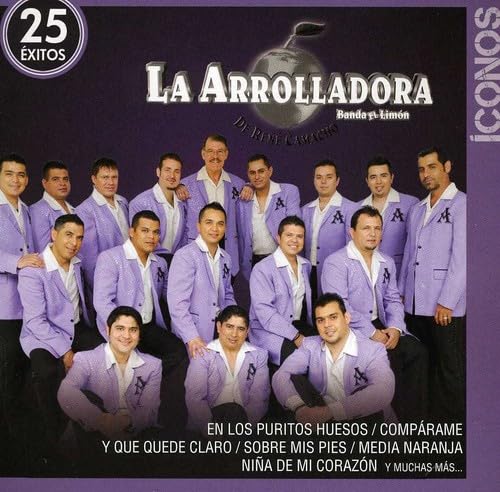 Iconos/25 Exitos (2 Cd)