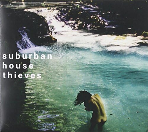 Suburban House Thieves