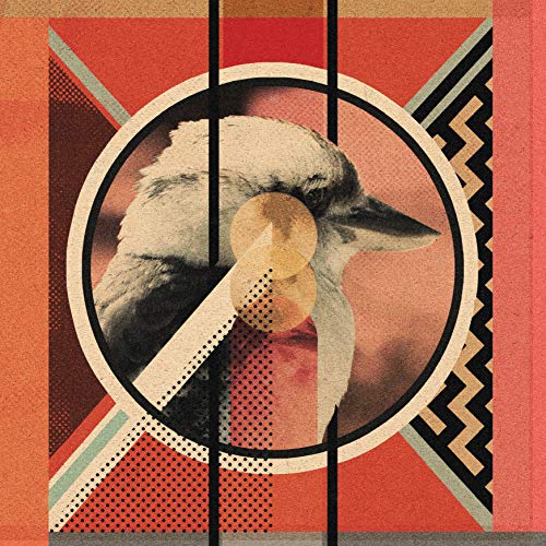 Kookaburra