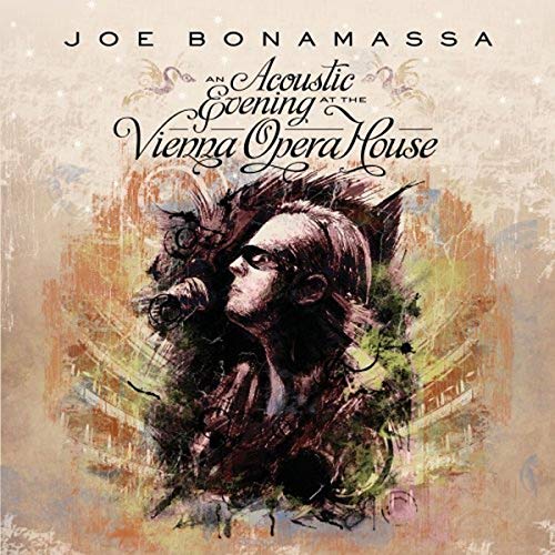 Acoustic Evening At The Vienna Opera House (2 Cd)