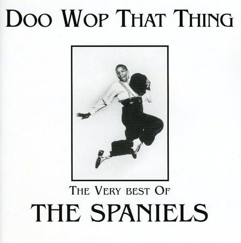 Doo Wop That Thing-Very Best Of