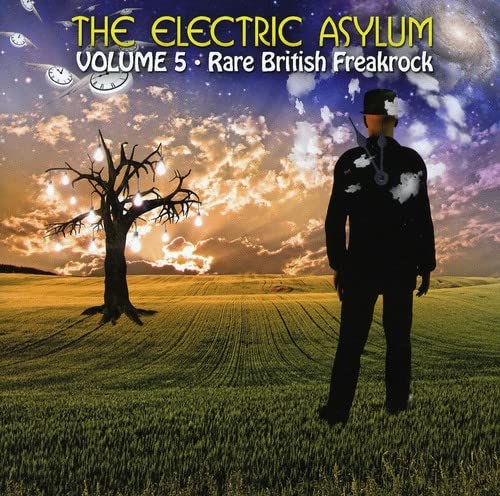Electric Asylum: Rare British Freakrock, Vol. 5