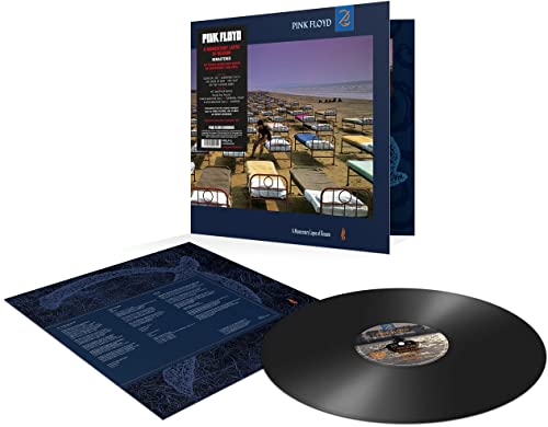 A Momentary Lapse Of Reason