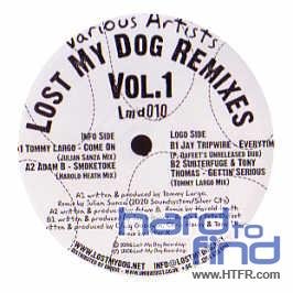 Lost My Dog Remixes Vol. 2