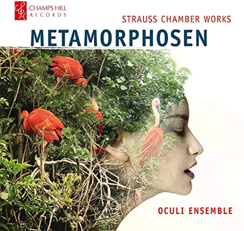 Richard Strauss: Metamorphosen