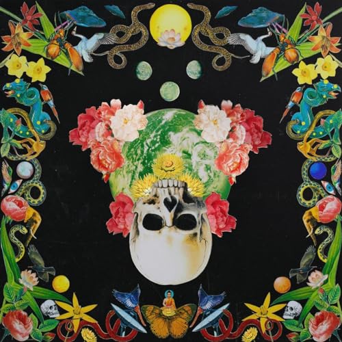 Helichrysum (Olive Green Vinyl)
