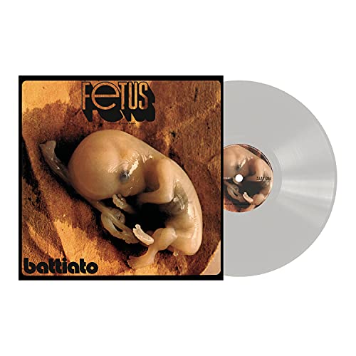 Fetus (180 Gr Colorato Natural)