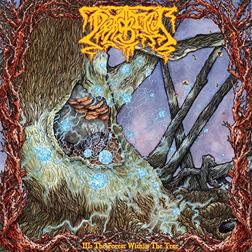 Iii: The Forest Within The Tree