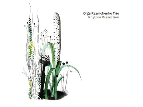 Rhythm Dissection