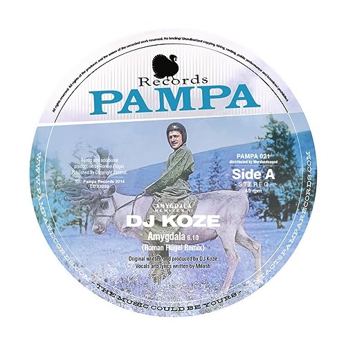 Amygdala (Roman Flügel/Robag Wruhme Rmx) - 12"