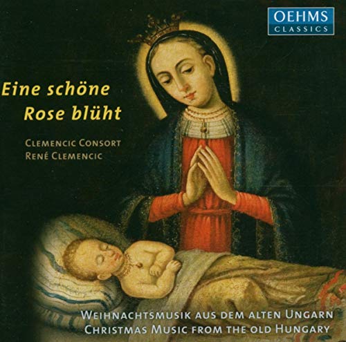 Eine Schone Rose Bluht