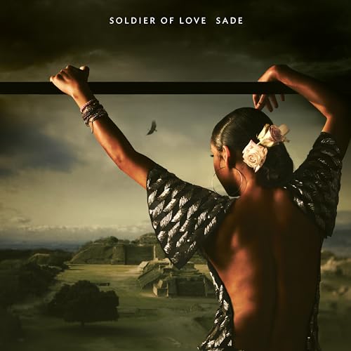 Soldier Of Love