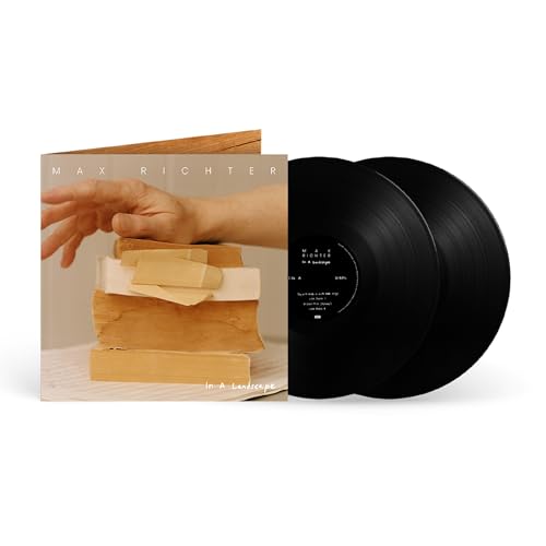 In The Landscape (2 Lp)