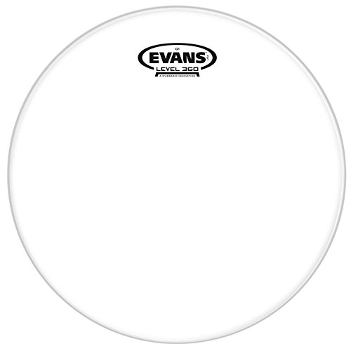 Evans Tt08G1 Pelle G1, 8", Trasparente