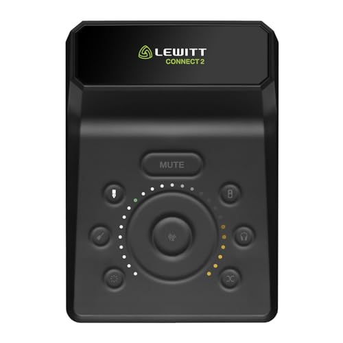 Interfaccia Audio Lewitt Connect 2