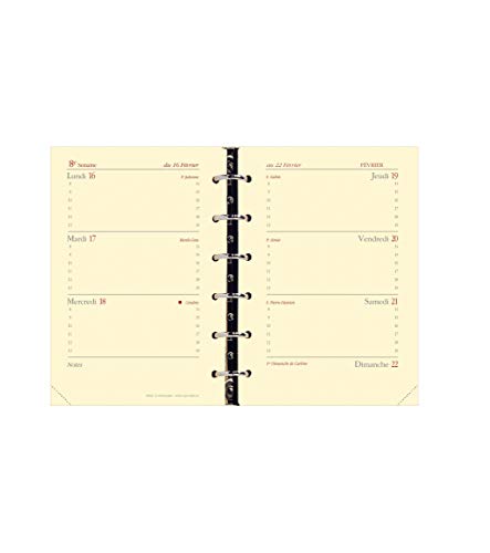 Quo Vadis – Ricarica – Timer 14 Prestige – Settimanale 8 X 12,5 Cm – Anno 2018/2019 Orizzontale 8 X 12,5 Cm