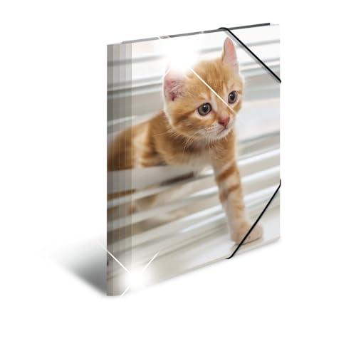 Herma Carpeta A4 Polipropileno Gato Brillante