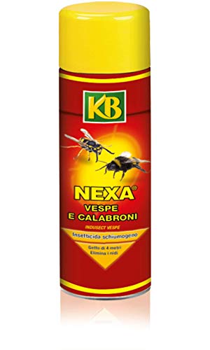 Nexa Vespe E Calabroni Insetticida Schiumogeno 750 Ml