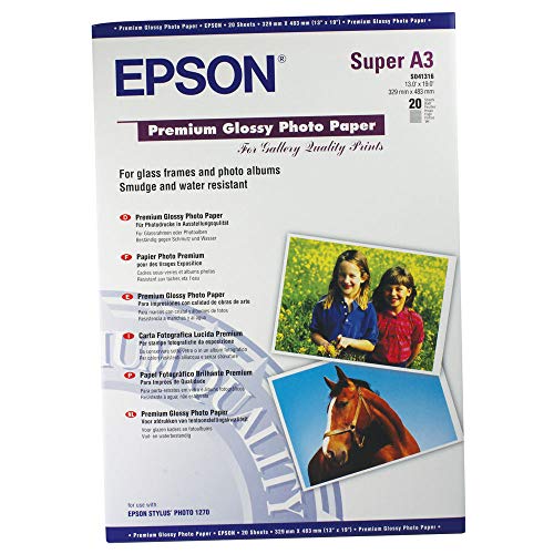 Epson C13S041316 Carta Fotografica Ph Gloss Premium.