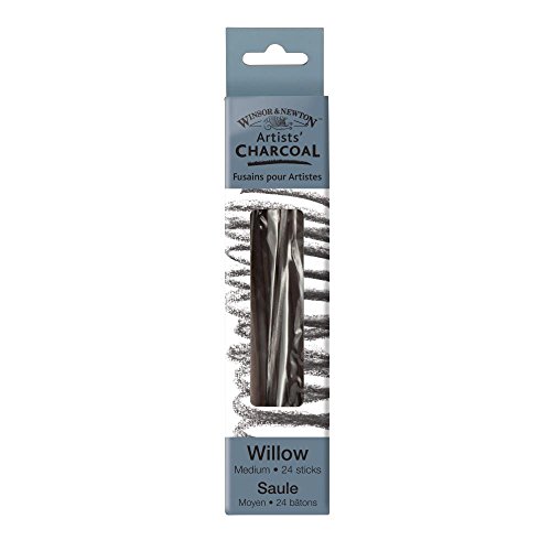 Winsor & Newton 24 Fusaggini Medi