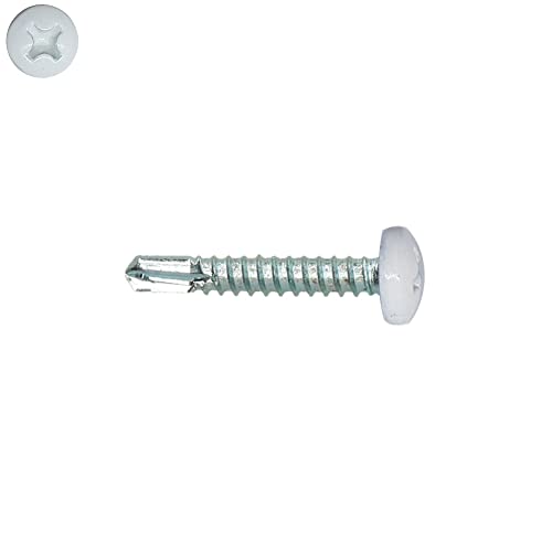 Viti Autoperforanti 4,2X19Mm Ral 9010 Bianco Puro Testa Cilindrica Ph Zincate Da 200