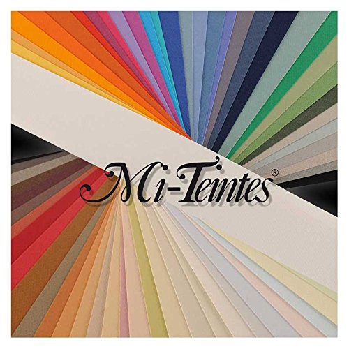 Foglia 55 X 75 (25) Canson Mi-Teintes 60% Ape 160 G (575)