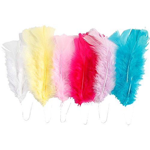 Piume, L: 11-17 Cm, Asstd. Colori Primaverili, 18 Ciocche.