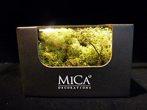 Mica Decorations Decorazioni Floreali.