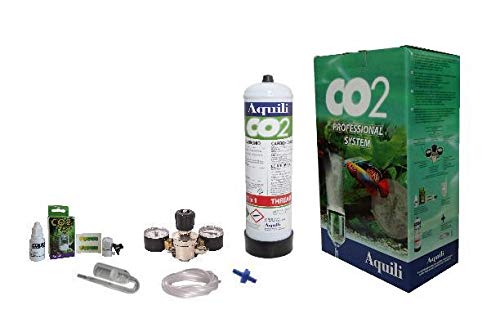 Aquili Co225 Kit Co2 Con Riduttore 2 Manometri E Bombola Usa E Getta 600 Gr, Modello Classic, Multicolore
