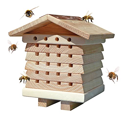 Wildlife World Alveare Per Api Solitarie