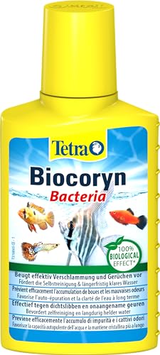 Tetra Biocoryn