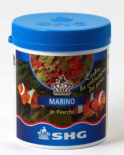 Shg Marino In Fiocchi 75 Gr