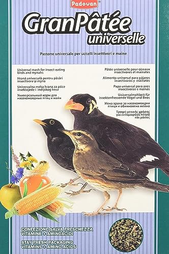 Padovan Granpâtée Universelle - 1000 Gr
