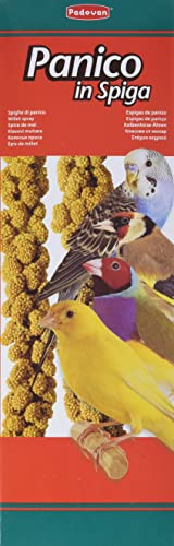 Padovan Panico In Spiga - Alimento Per Uccelli - Confezione Da 100 Gr