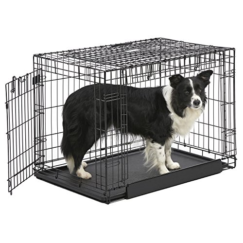 Midwest Homes For Pets Gabbia Metallica Ovation Pieghevole Per Cani Taglia Media, Lunga 91,44 Cm, 2 Porte, Divisorio, Piedini Protettivi, Vaschetta A 