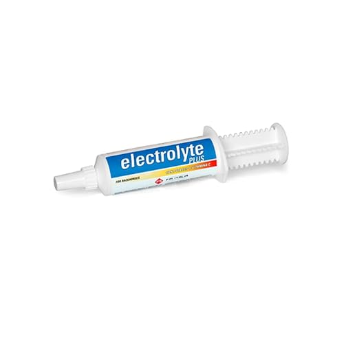 Electrolyte Plus Siringa
