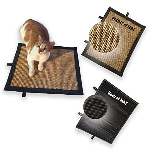 Camon Tappeto Tiragraffi Sisal Con Cat Nip Menta Per Gatto In Omaggio