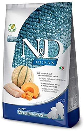 N&D Ocean Dog Cod, Pumpkin And Cantaloupe Melon Puppy Medium & Maxi 2,5 Kg