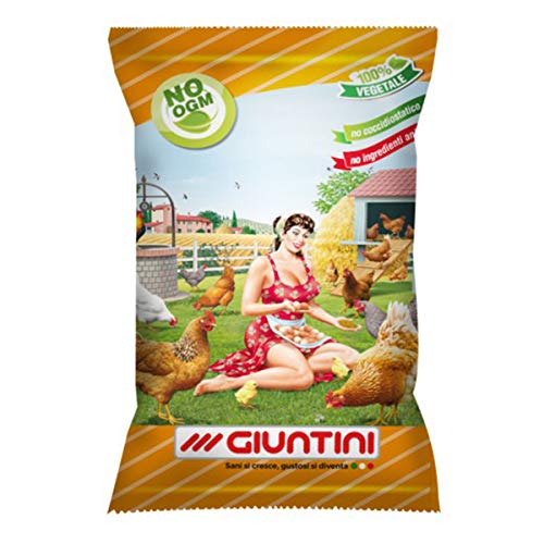 Giuntini Linea Agri Coccodoro 25Kg Micronizzato No Ogm No Coccidiostatico Mangime Per Galline Ovaiole Con Granaglia, Aggiunta Di Gusci D'Ostriche Alta