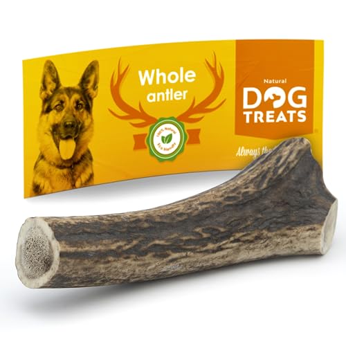 Natural Dog Treats - Corno Di Cervo Per Cani 100% Naturale - Corna Di Cervo Per Cani Masticare - Osso Di Cervo Per Cani Grandi - Masticativi Per Cani
