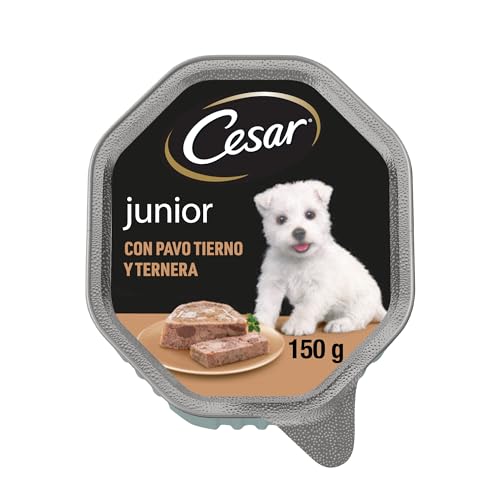 Cesar Puppy 150G (14Uds)