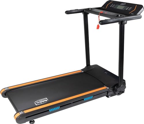 Tapis Roulant Tappeto Elettrico Richiudibile Golden Eagle Velocità Massima 15 Km/H - 15 Livelli Di Inclinazione - Schermo Lcd - Fitness A Casa - Allen