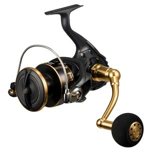 Daiwa Mulinello 23Bg Sw 8000-H
